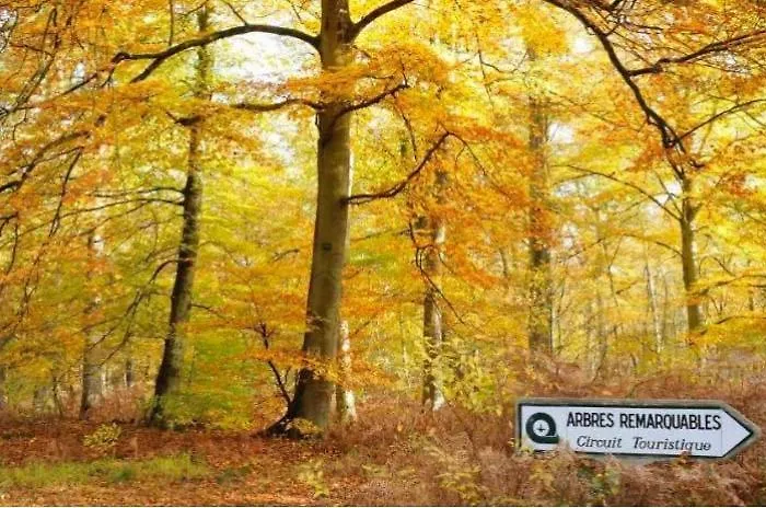 La Bancloque Compiègne